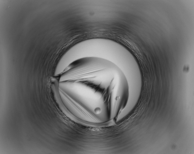 X0000097990409200804211109