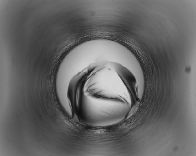 X0000097990411200804211109