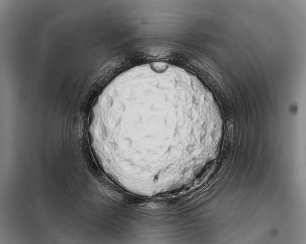 X0000097990412200804211109