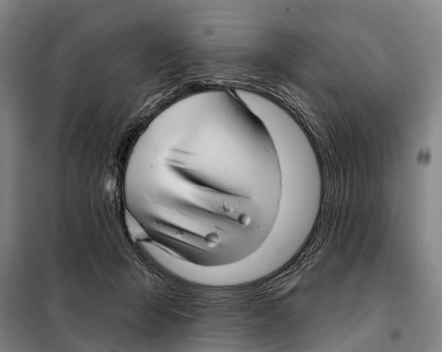 X0000097990415200804211109