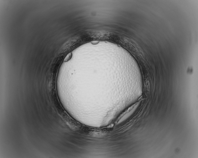 X0000097990416200804211109