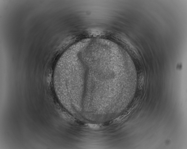 X0000097990417200804211109