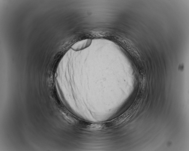 X0000097990418200804211109