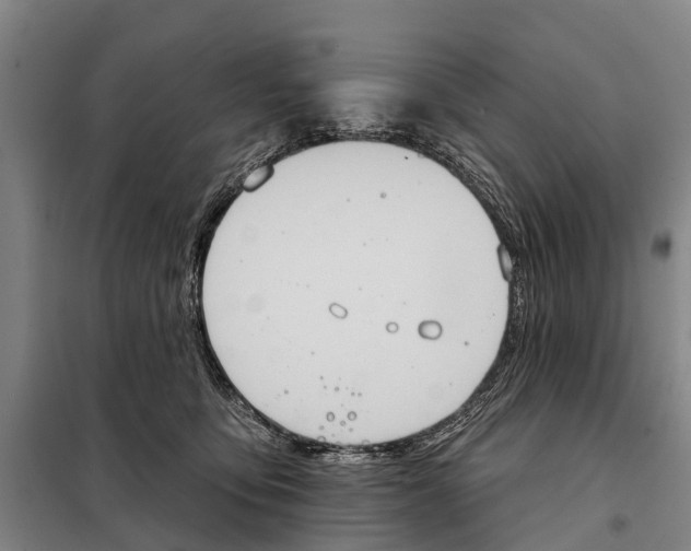 X0000097990419200804211109