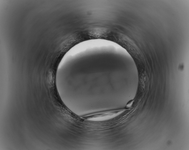 X0000097990420200804211109