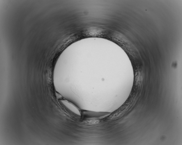 X0000097990421200804211109