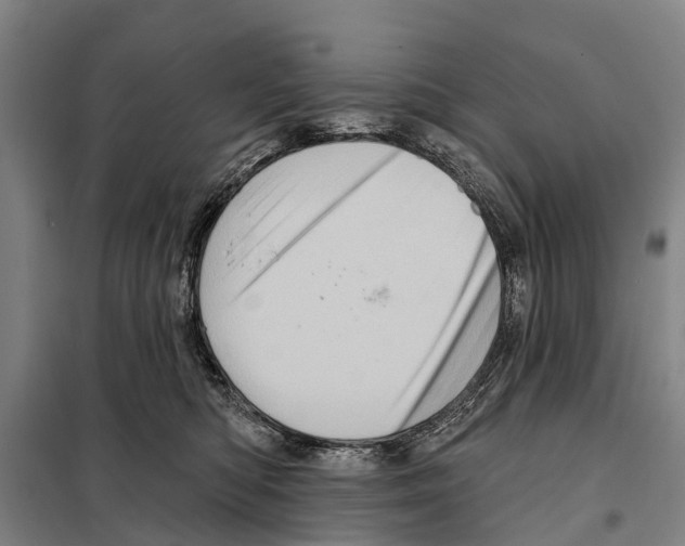 X0000097990422200804211109