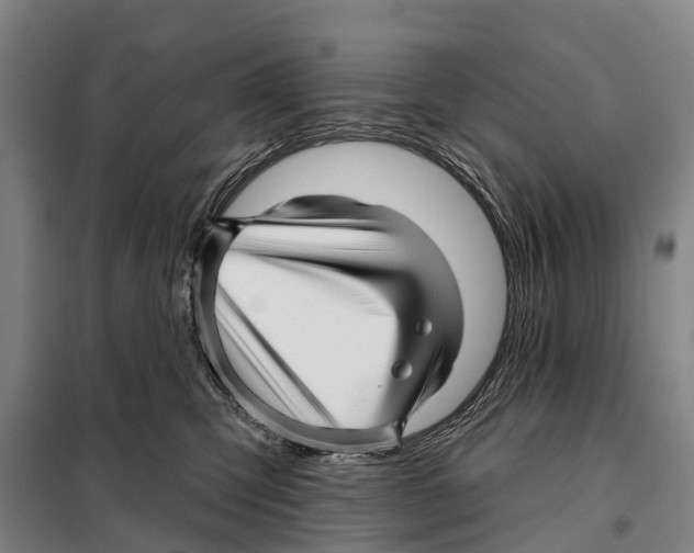 X0000097990423200804211109