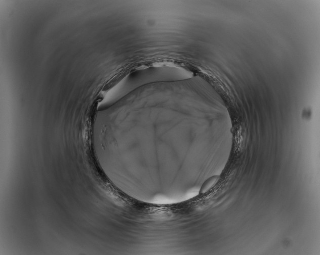 X0000097990424200804211109