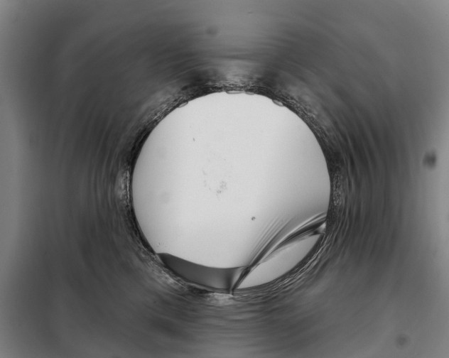 X0000097990425200804211109