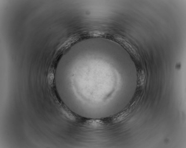 X0000097990427200804211109