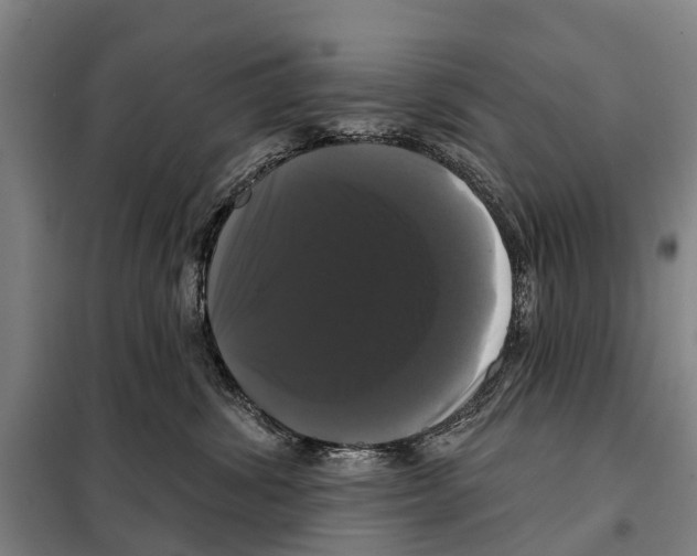 X0000097990428200804211109