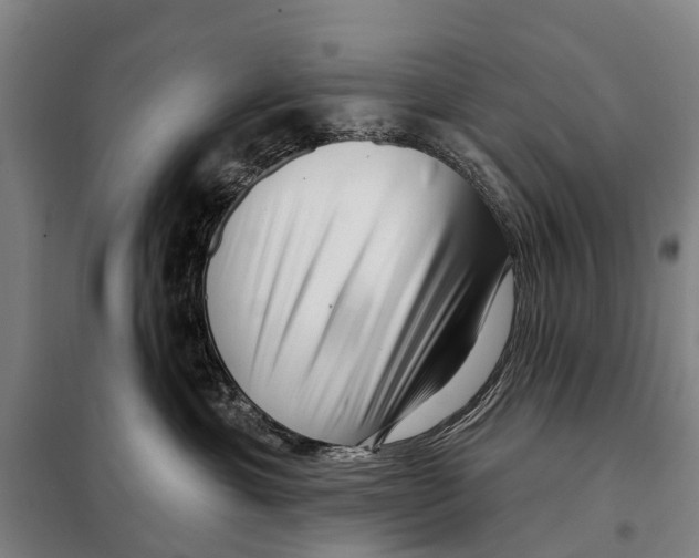 X0000097990429200804211109