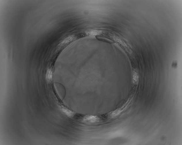 X0000097990431200804211109