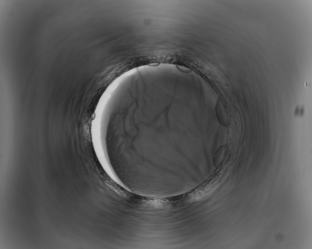 X0000097990432200804211109