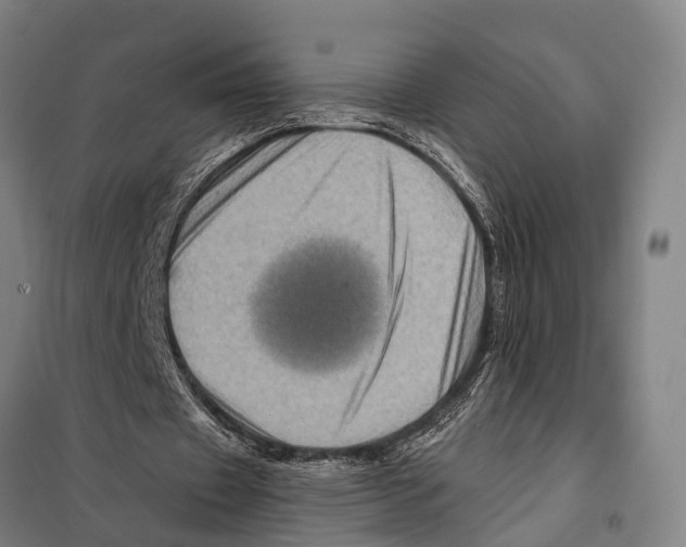 X0000097990433200804211108