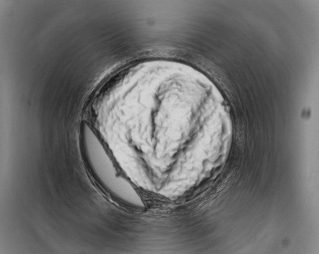 X0000097990434200804211108