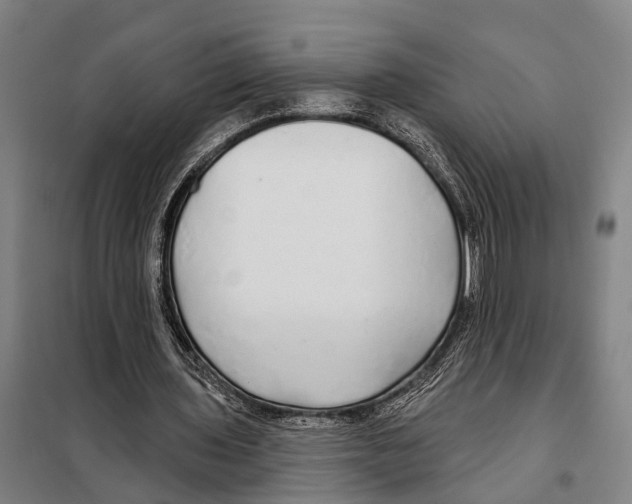 X0000097990435200804211108