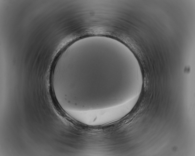 X0000097990438200804211108