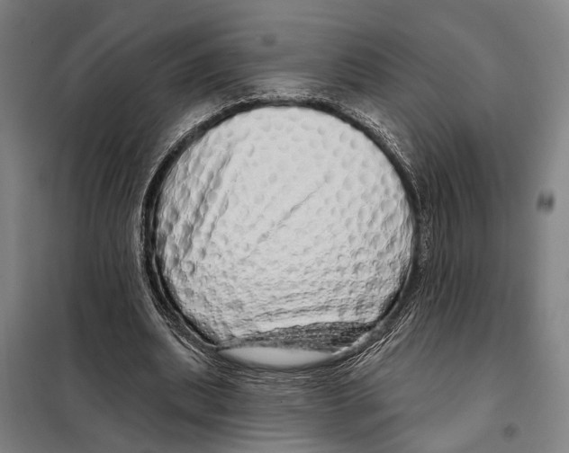 X0000097990439200804211108