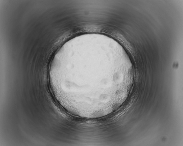 X0000097990441200804211108