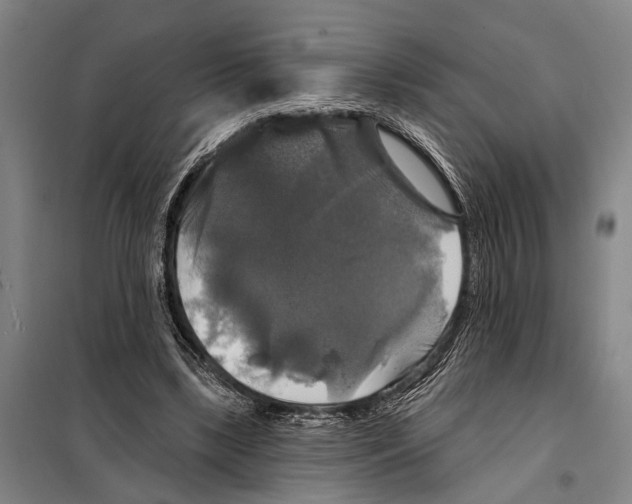 X0000097990443200804211108