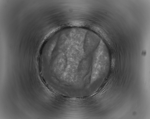 X0000097990444200804211108