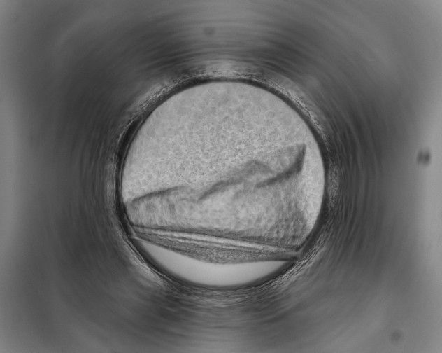 X0000097990445200804211108