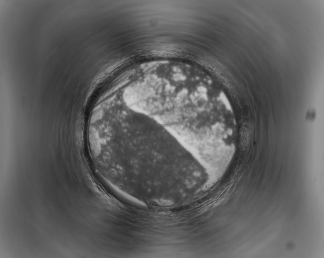 X0000097990446200804211108