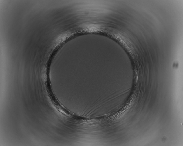 X0000097990447200804211108