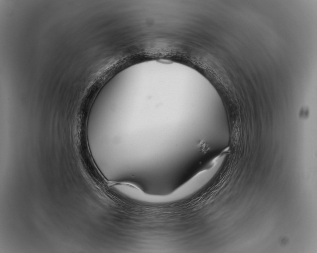 X0000097990448200804211109