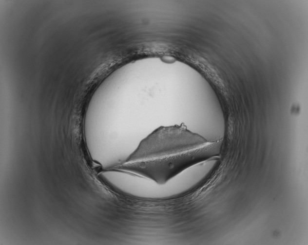 X0000097990449200804211109