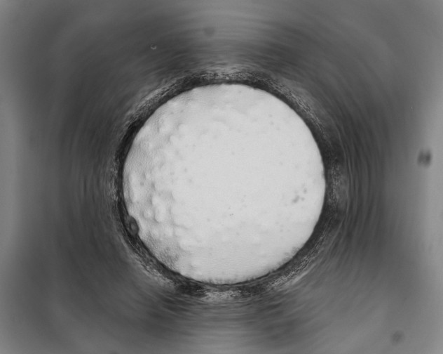 X0000097990450200804211109