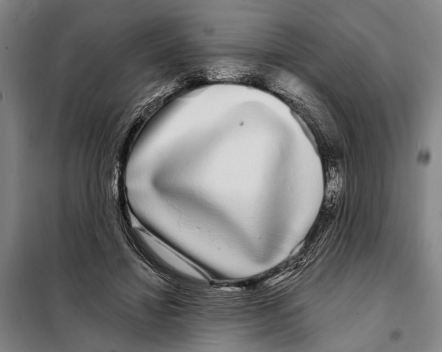 X0000097990452200804211109