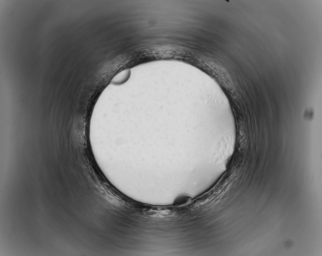 X0000097990453200804211109