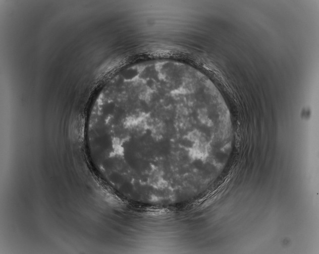 X0000097990454200804211109