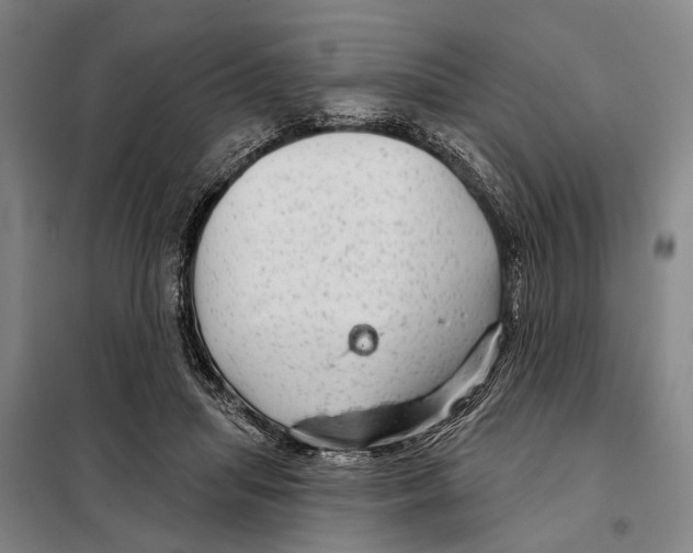 X0000097990455200804211109