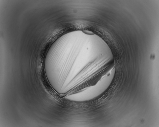 X0000097990456200804211109