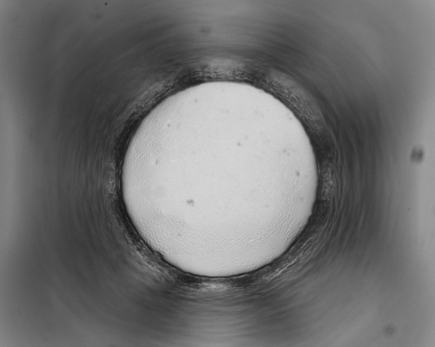 X0000097990457200804211109