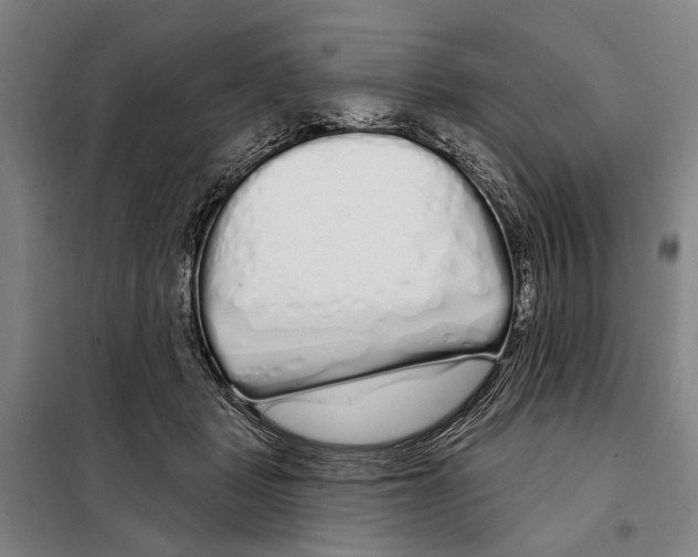 X0000097990461200804211109