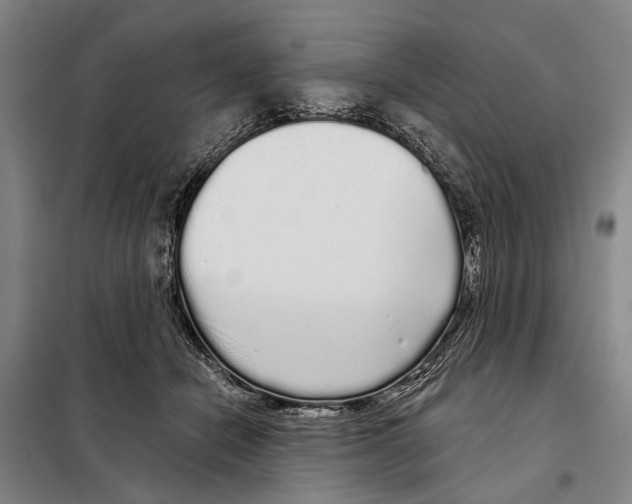 X0000097990462200804211109