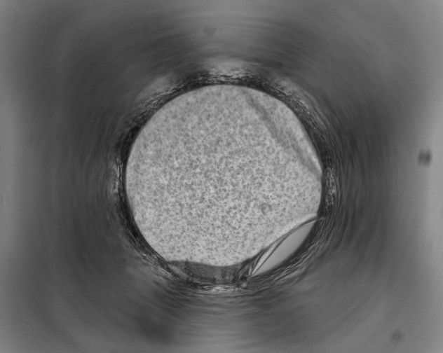 X0000097990463200804211109