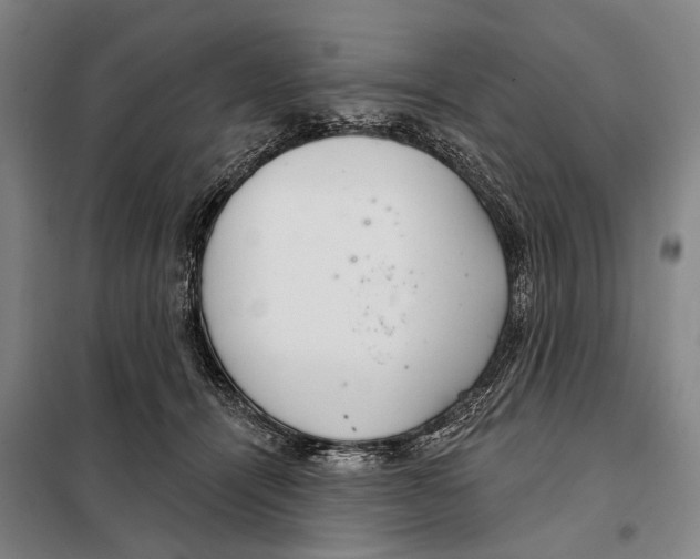 X0000097990464200804211109