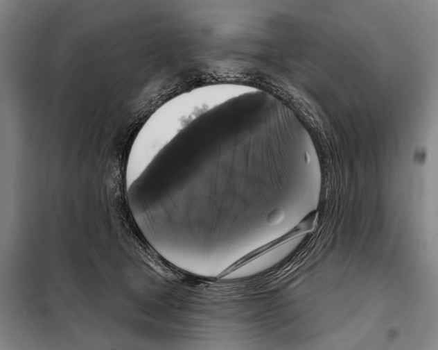 X0000097990465200804211109