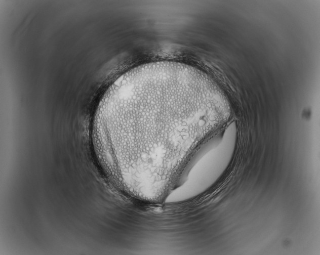 X0000097990466200804211109