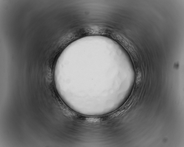 X0000097990469200804211109