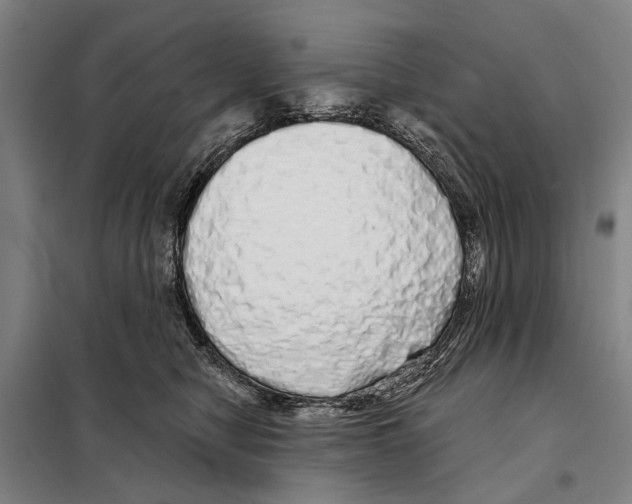 X0000097990470200804211109