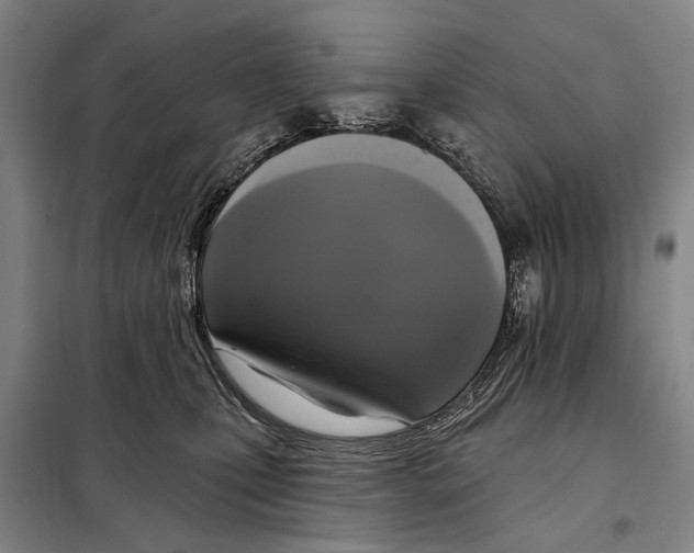 X0000097990471200804211109