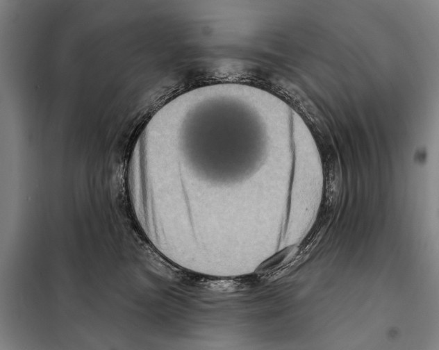 X0000097990473200804211109