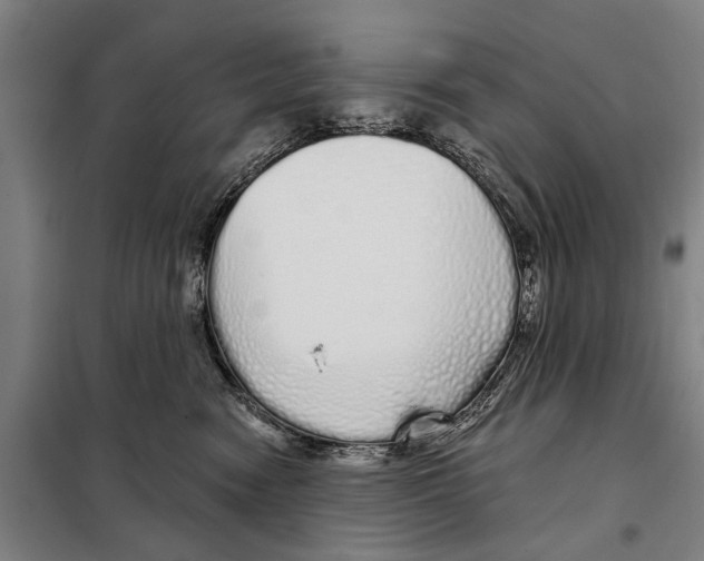 X0000097990474200804211109